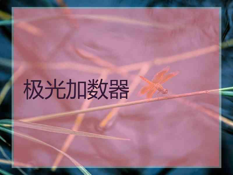 极光加数器