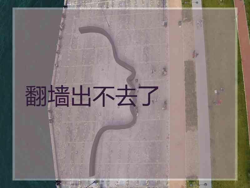 翻墙出不去了