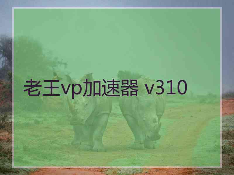 老王vp加速器 v310