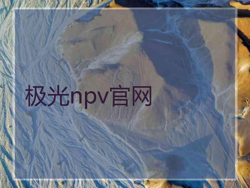 极光npv官网