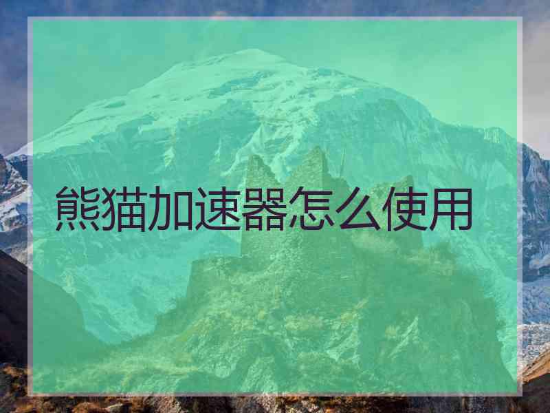 熊猫加速器怎么使用