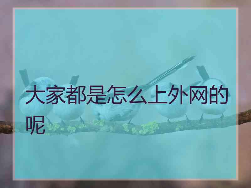 大家都是怎么上外网的呢