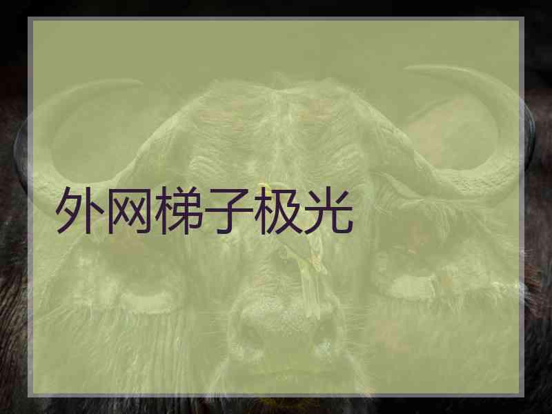 外网梯子极光