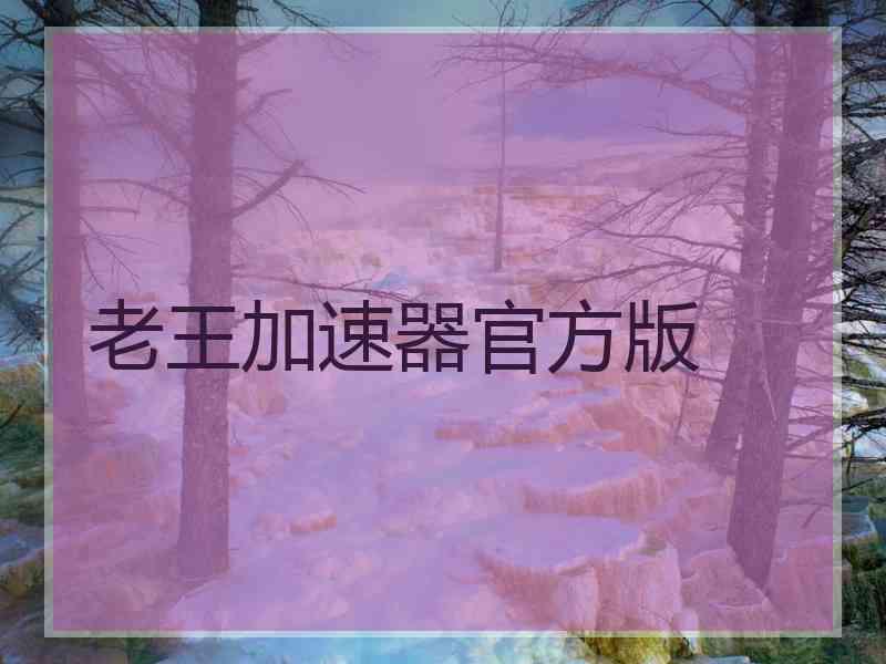 老王加速器官方版
