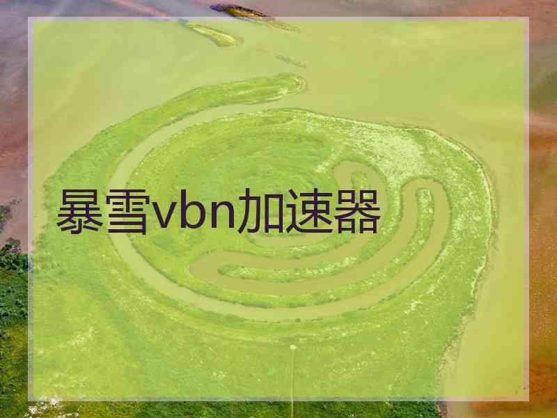 暴雪vbn加速器