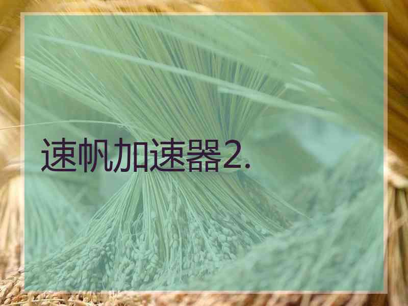 速帆加速器2.