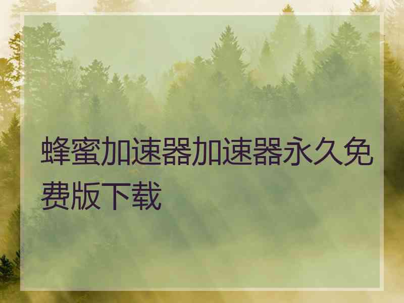 蜂蜜加速器加速器永久免费版下载