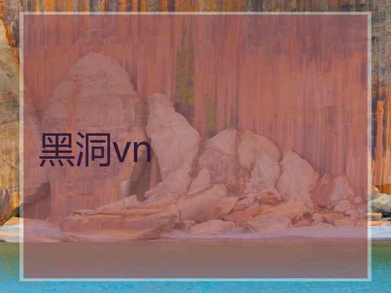 黑洞vn