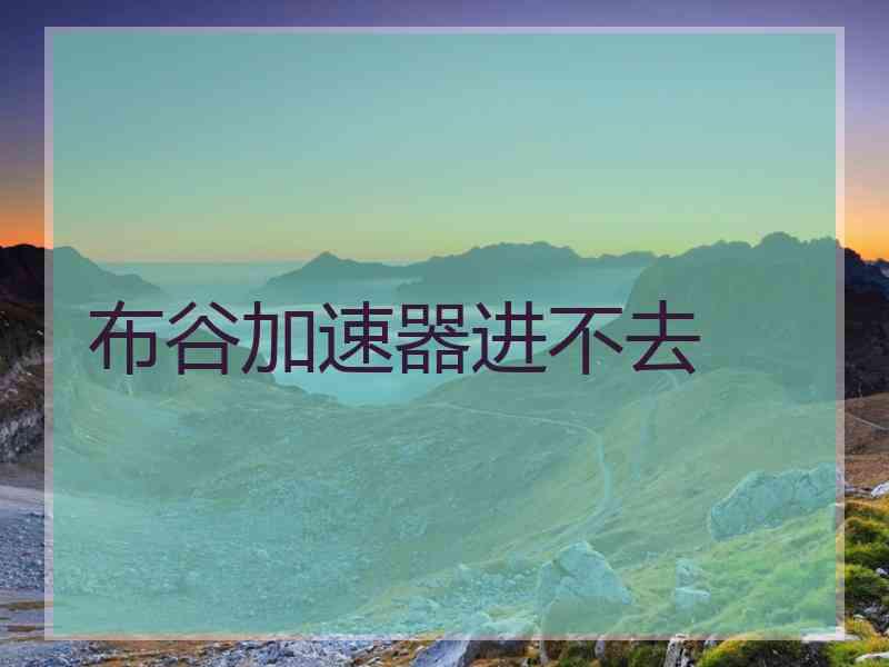 布谷加速器进不去