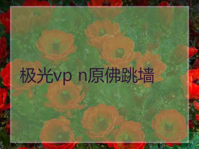 极光vp n原佛跳墙