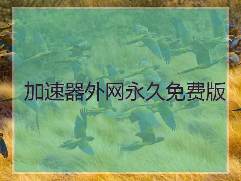 加速器外网永久免费版