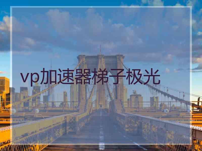 vp加速器梯子极光