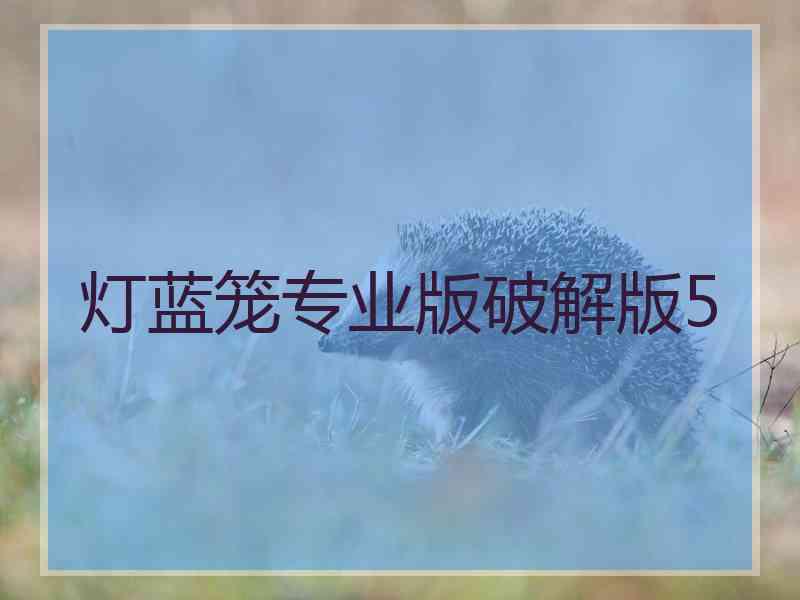 灯蓝笼专业版破解版5