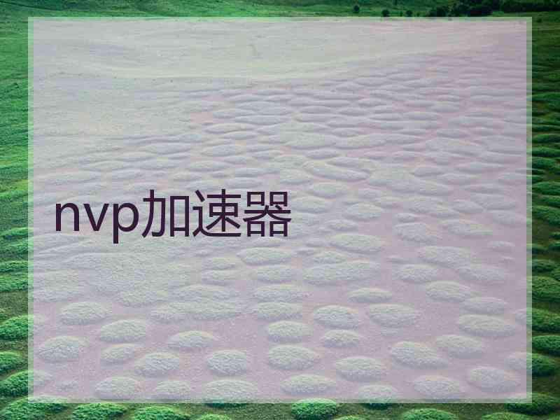 nvp加速器
