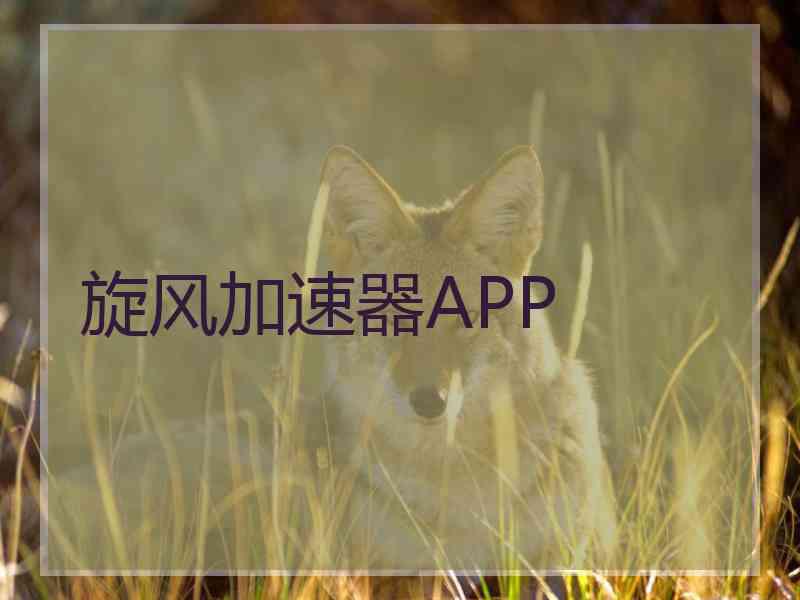 旋风加速器APP