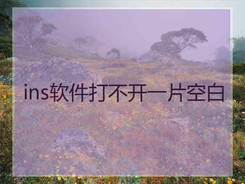 ins软件打不开一片空白