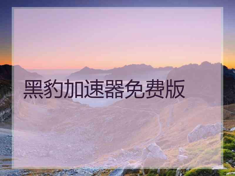 黑豹加速器免费版