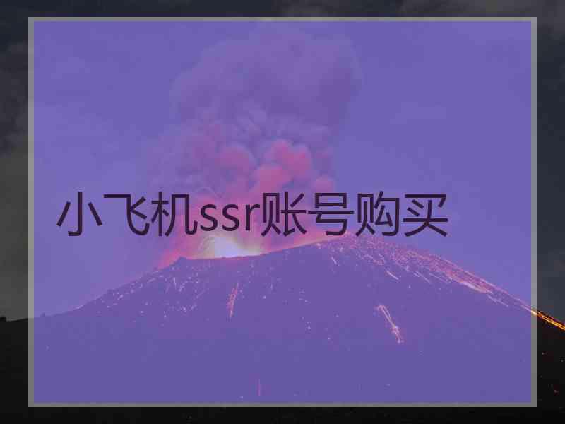 小飞机ssr账号购买