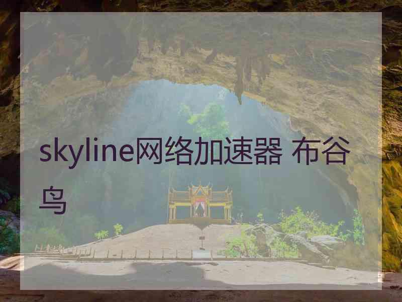 skyline网络加速器 布谷鸟