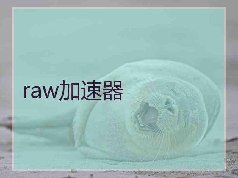 raw加速器