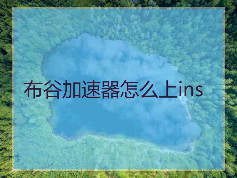 布谷加速器怎么上ins