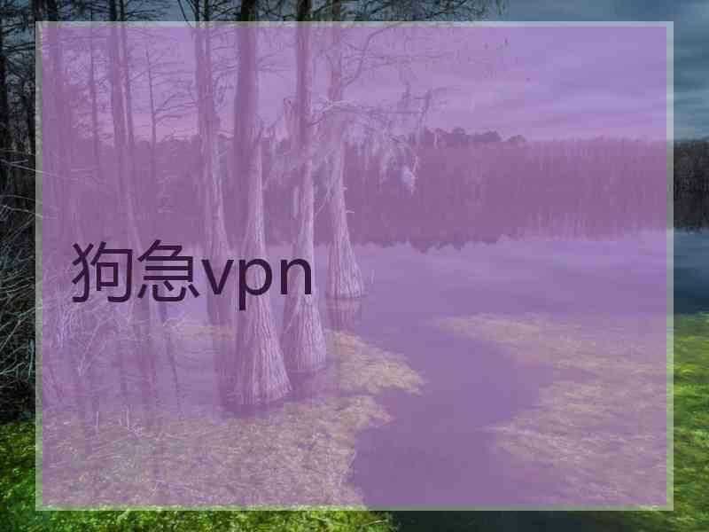 狗急vpn