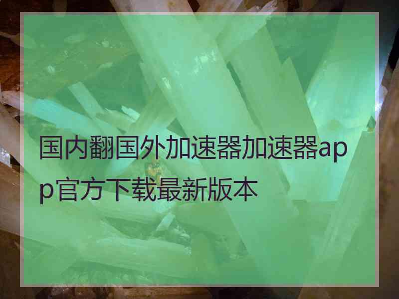 国内翻国外加速器加速器app官方下载最新版本