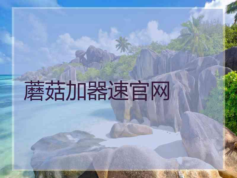 蘑菇加器速官网