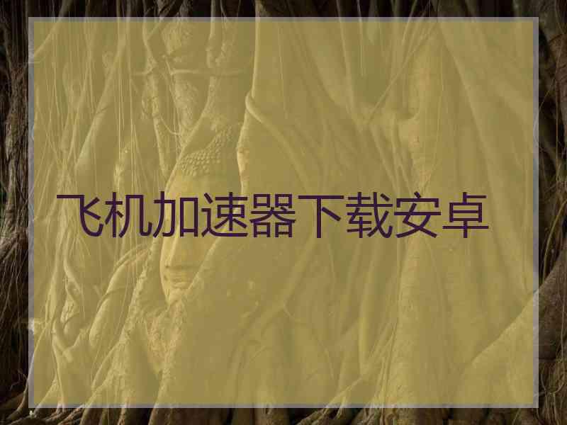 飞机加速器下载安卓
