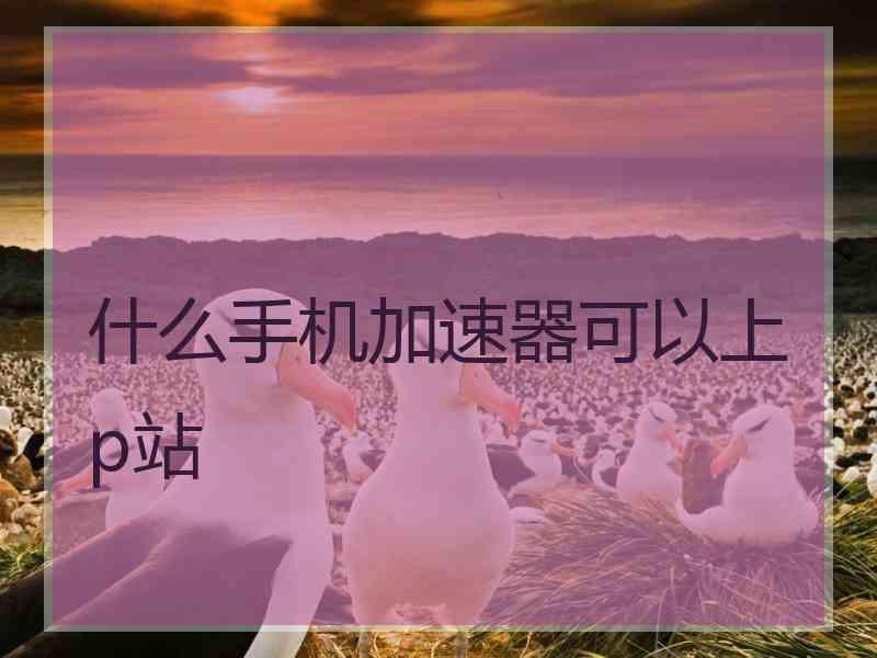 什么手机加速器可以上p站