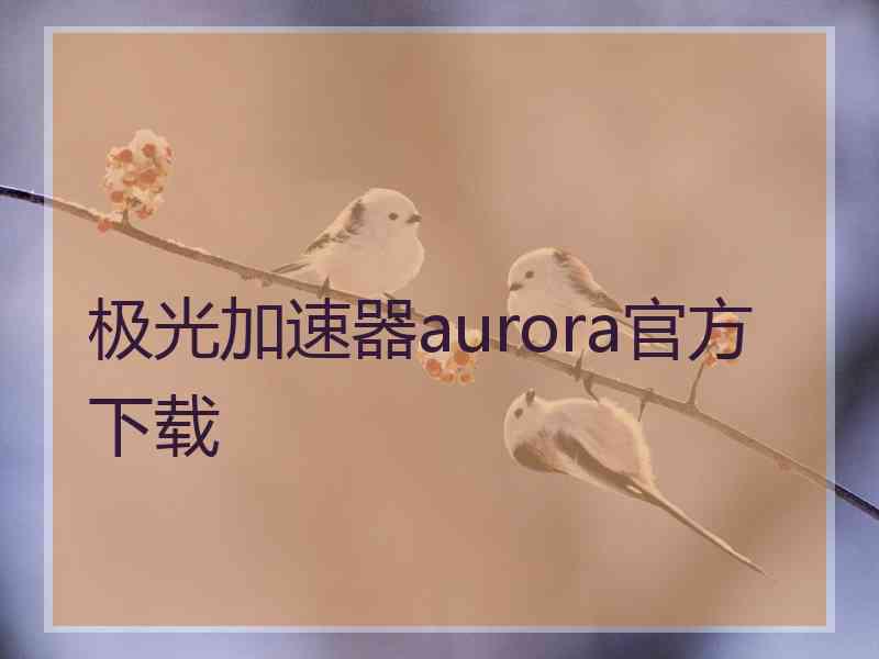 极光加速器aurora官方下载