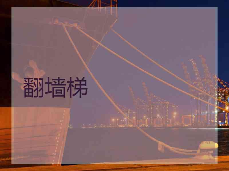 翻墙梯