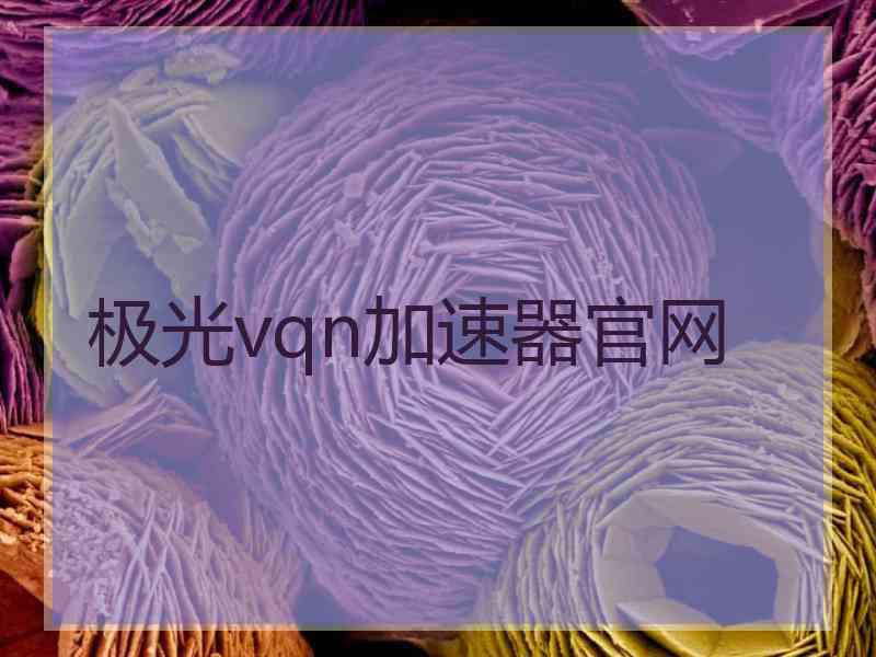 极光vqn加速器官网