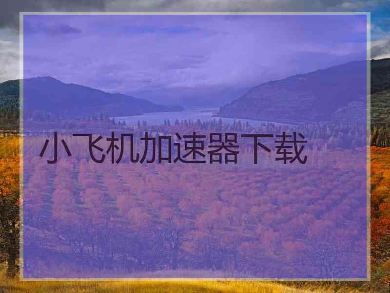 小飞机加速器下载