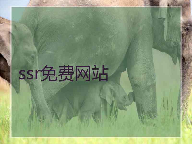 ssr免费网站