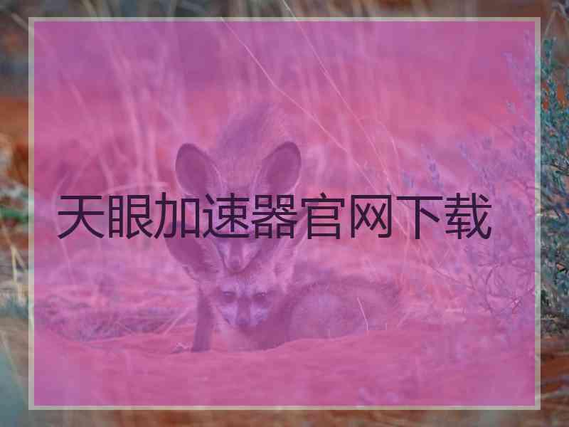 天眼加速器官网下载