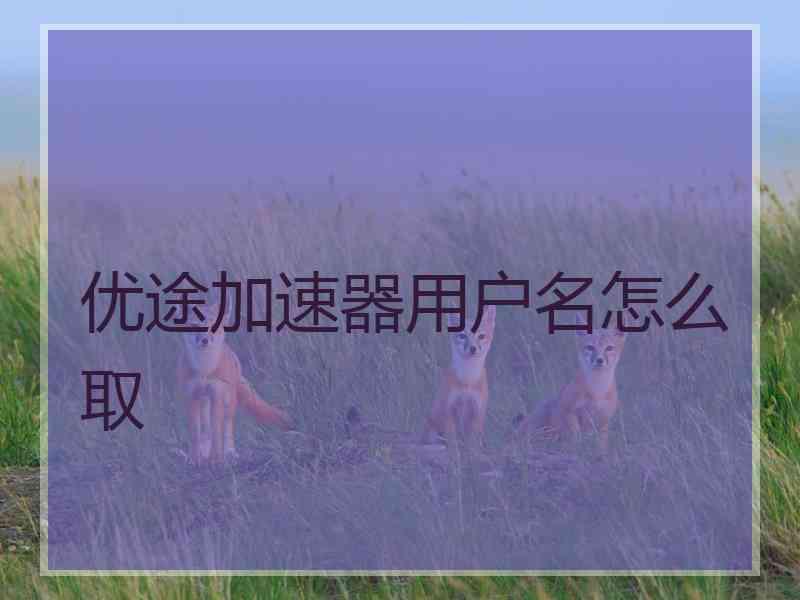 优途加速器用户名怎么取