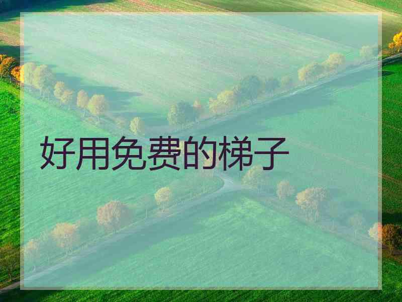 好用免费的梯子