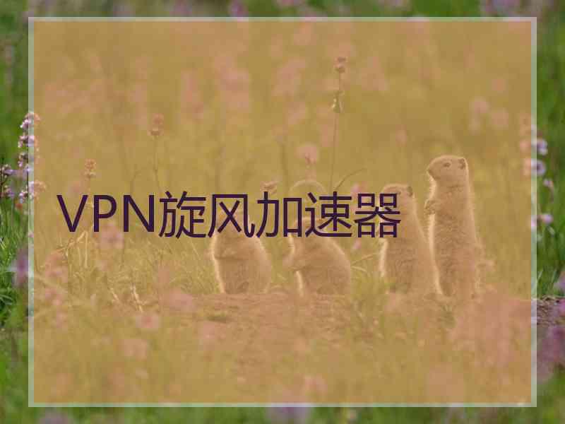 VPN旋风加速器