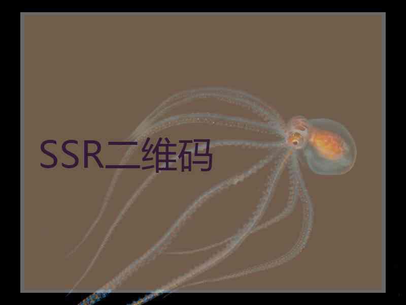 SSR二维码