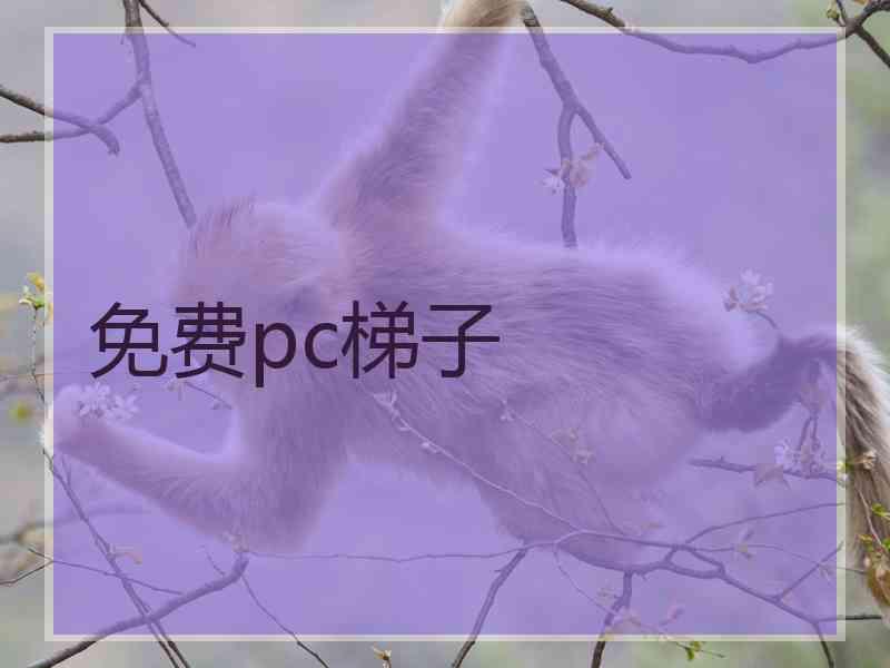免费pc梯子