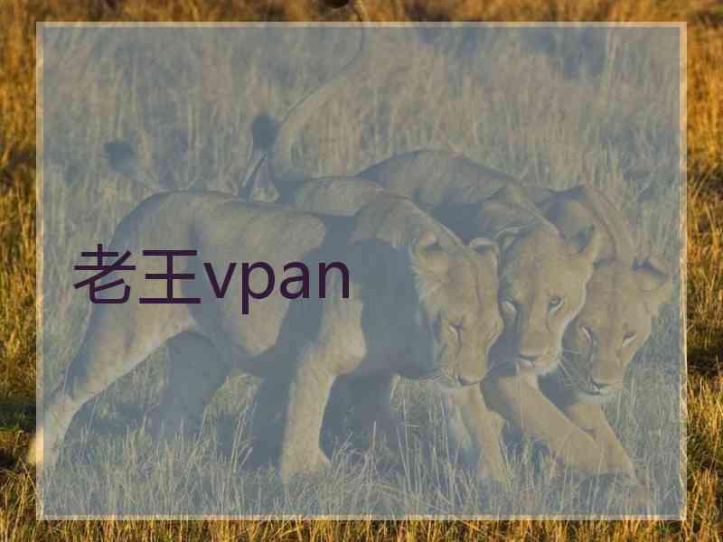 老王vpan