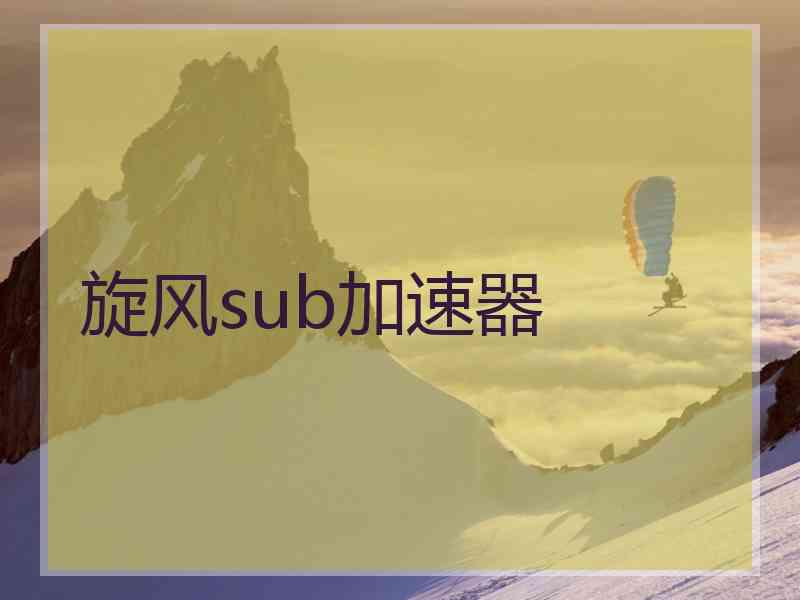 旋风sub加速器