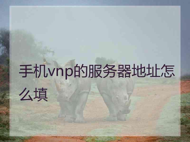 手机vnp的服务器地址怎么填
