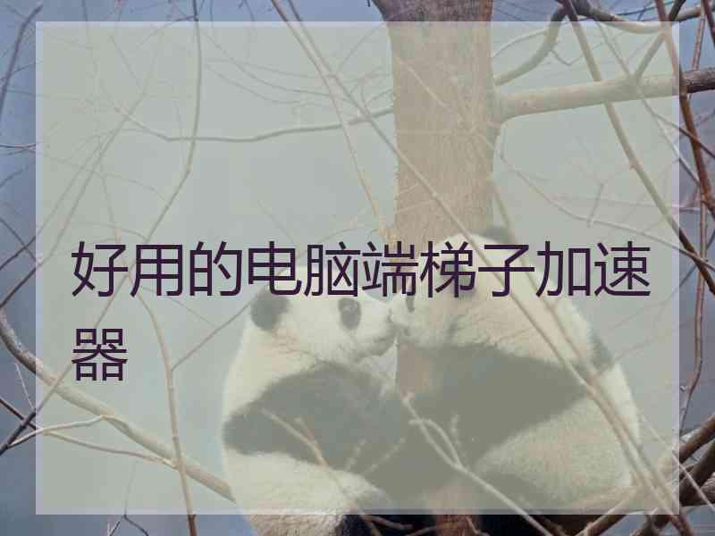 好用的电脑端梯子加速器