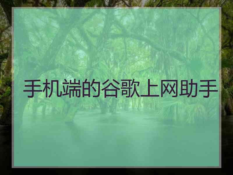手机端的谷歌上网助手