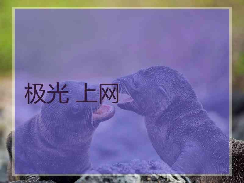 极光 上网
