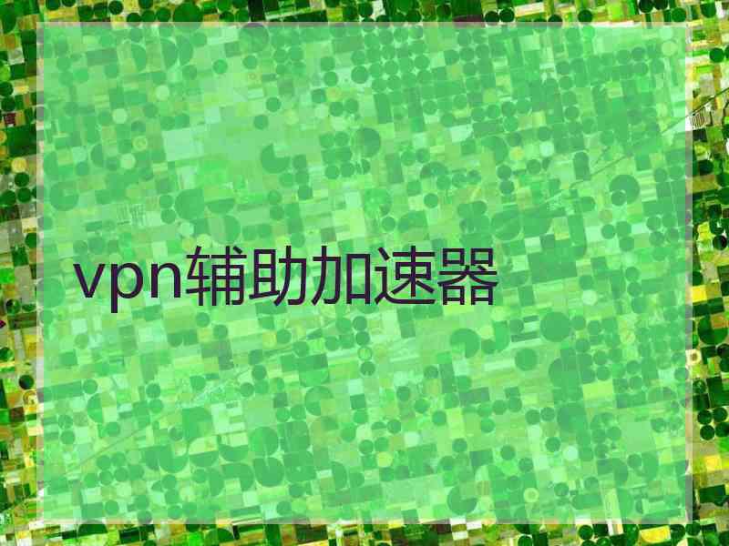 vpn辅助加速器