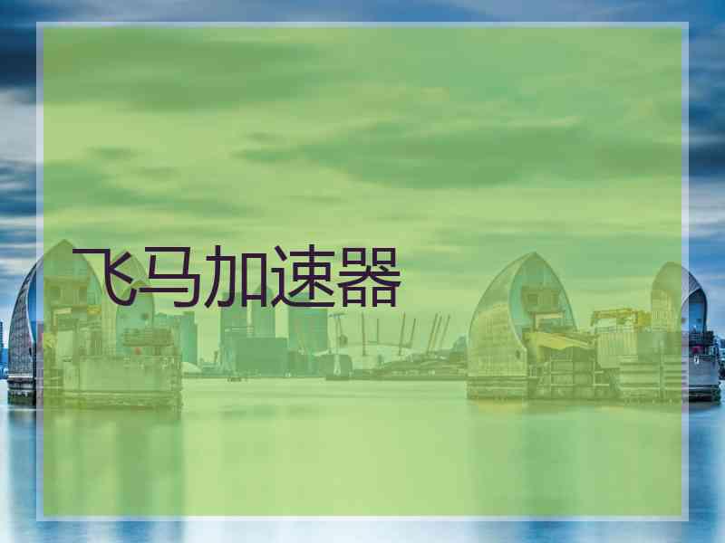 飞马加速器