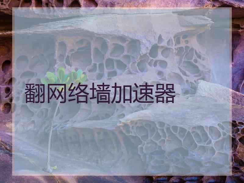 翻网络墙加速器